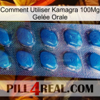 Comment Utiliser Kamagra 100Mg Gelée Orale viagra1